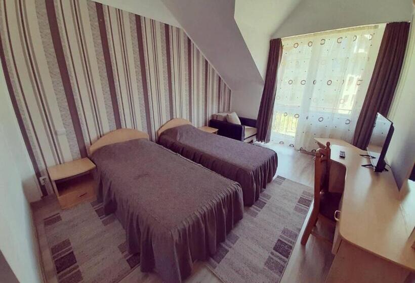 스탠다드 룸, Pensiunea Cool