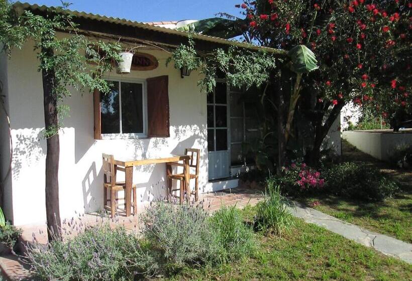 استودیو استاندارد با چشم‌انداز باغ, B&b Casa Hernández