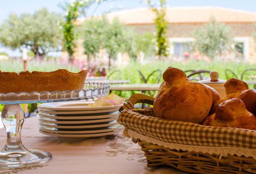 Номер Стандарт, Casale Milocca