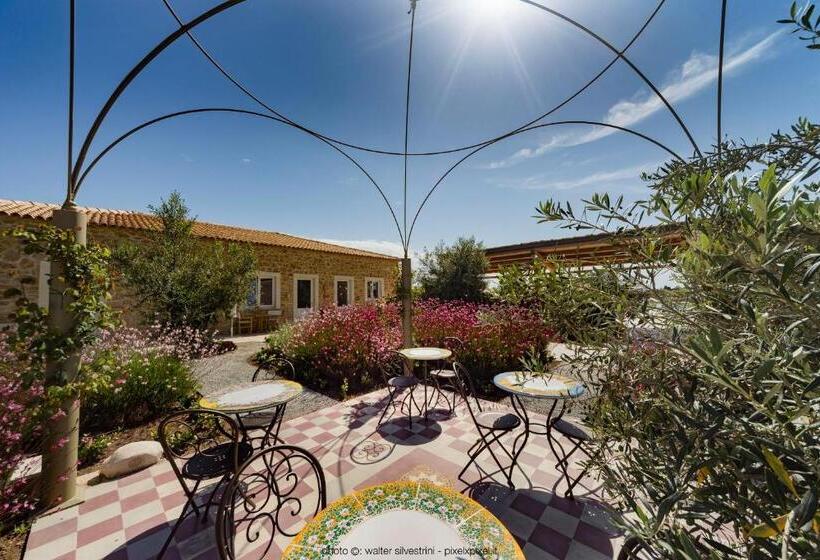 Номер Стандарт, Casale Milocca