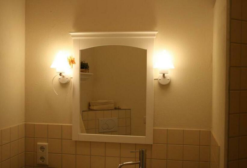 Номер Стандарт, Alte Landschule