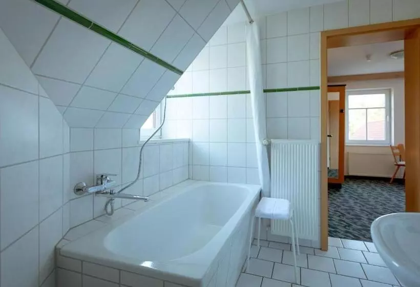 スタンダード４人部屋, Stiefelburg Der Berghof