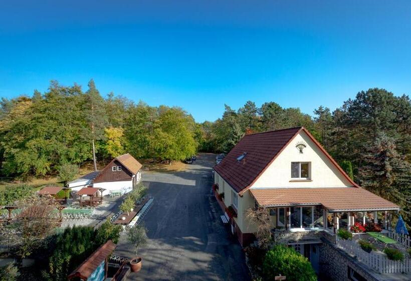 4인용 스탠다드 룸, Stiefelburg Der Berghof