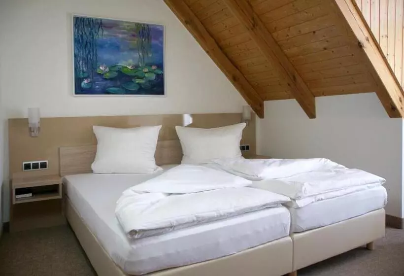اتاق استاندارد, Landgasthof Hotel Rittmayer