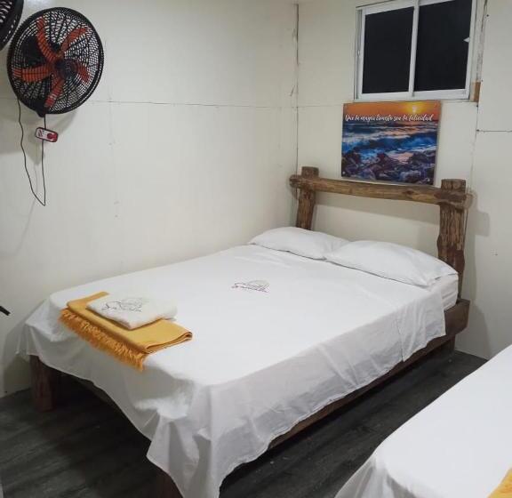 Quarto Triplo Estandar, Venido Del Mar