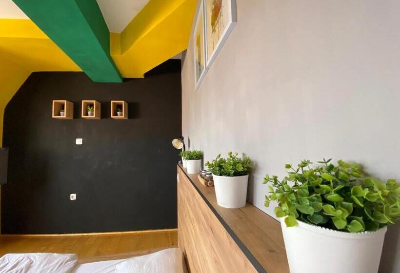 اتاق استاندارد با سرویس بهداشتی مشترک, Mickitos Urban Hostel