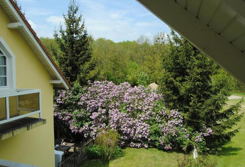 家庭间, Villa Hedi Panzió