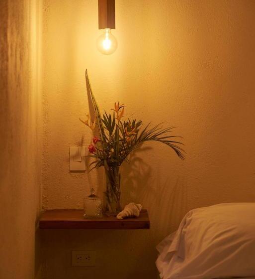 デラックスファミリールーム, La Casa Del Totumo