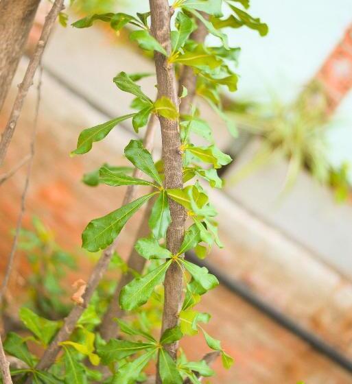 キングサイズベッドのスーペリアルーム, La Casa Del Totumo