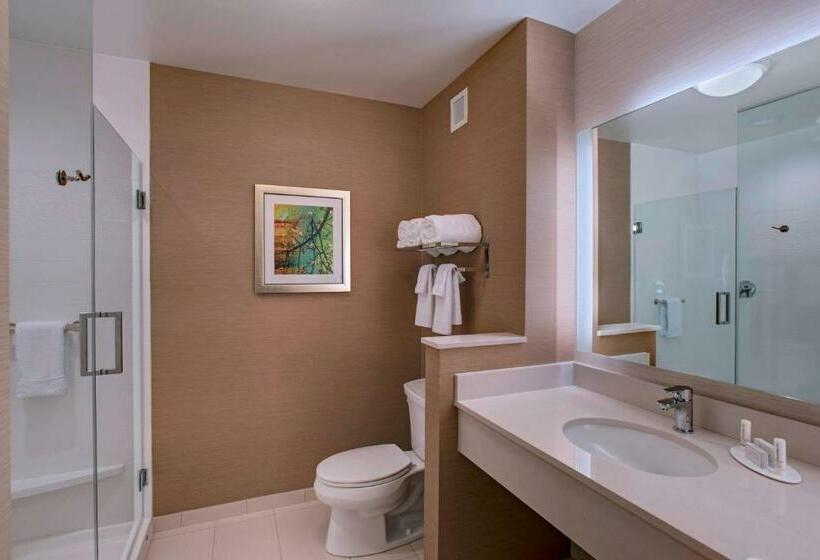 Номер Стандарт, Fairfield Inn & Suites By Marriott La Crosse Downtown