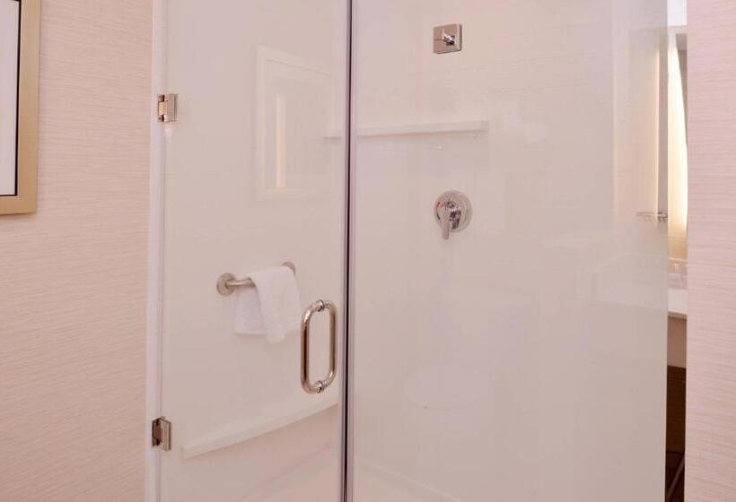 带大床的套房, Fairfield Inn & Suites By Marriott Plymouth White Mountains