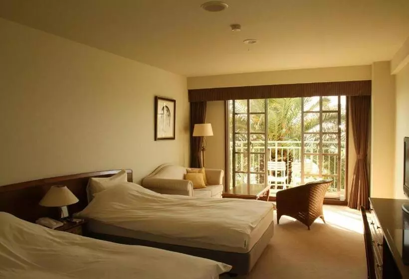 エコノミールーム, La Classe De Cienega