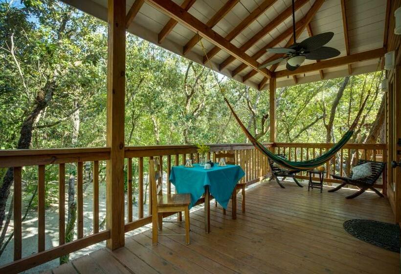 סטודיו סטנדרטי נוף לגינה, Mariposa Belize Beach Resort