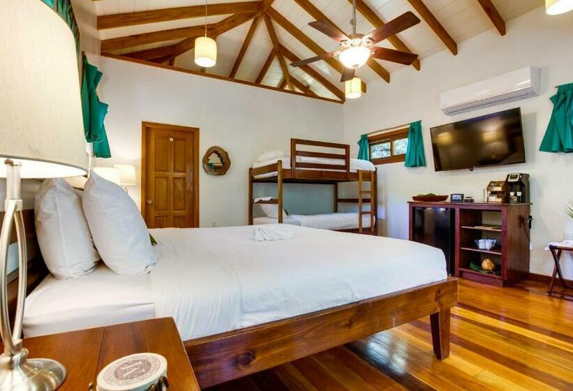 סטודיו סטנדרטי נוף לגינה, Mariposa Belize Beach Resort