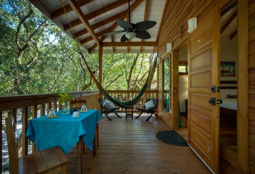 סטודיו סטנדרטי נוף לגינה, Mariposa Belize Beach Resort
