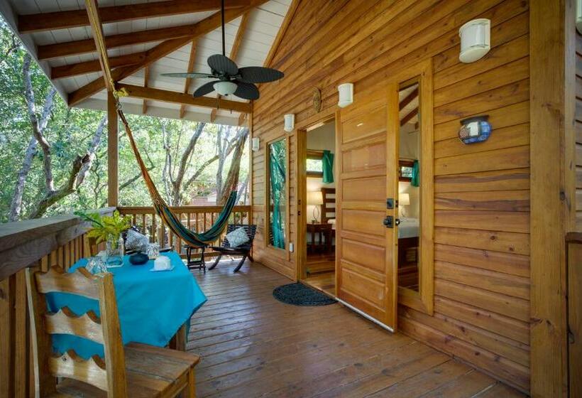 סטודיו סטנדרטי נוף לגינה, Mariposa Belize Beach Resort