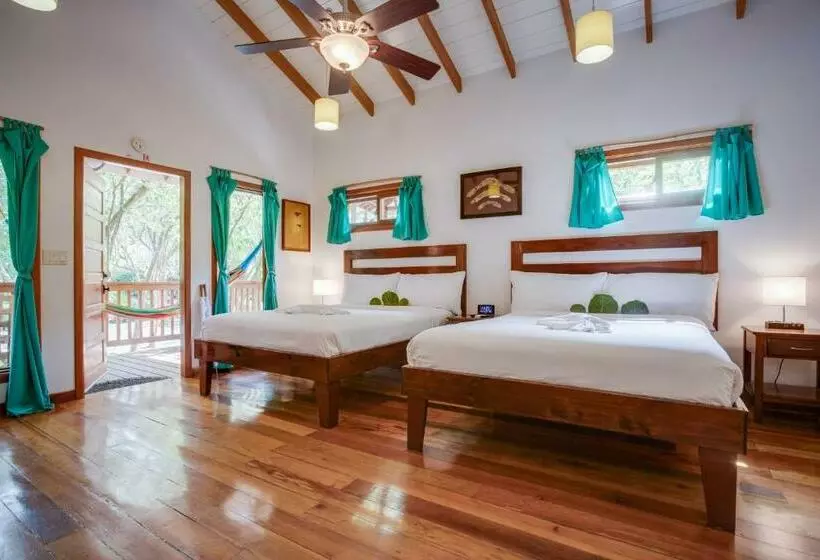 デラックスバンガロー, Mariposa Belize Beach Resort