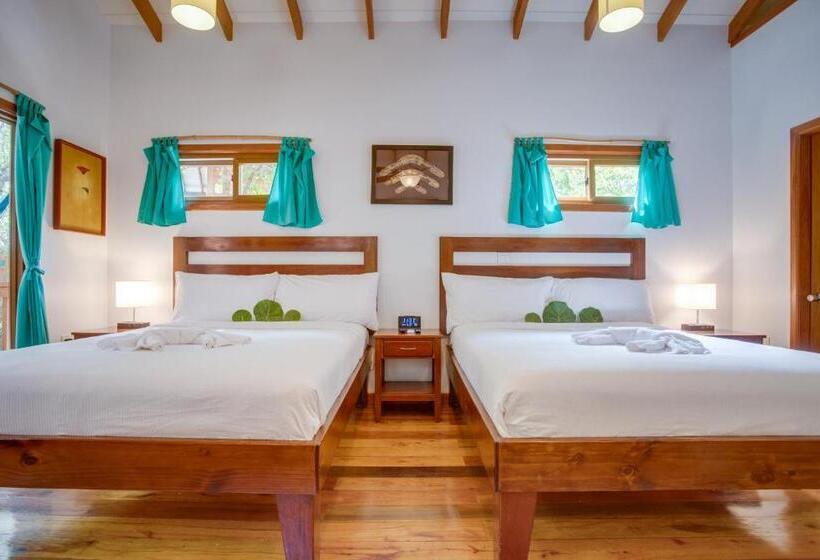 בקתה דלוקס, Mariposa Belize Beach Resort