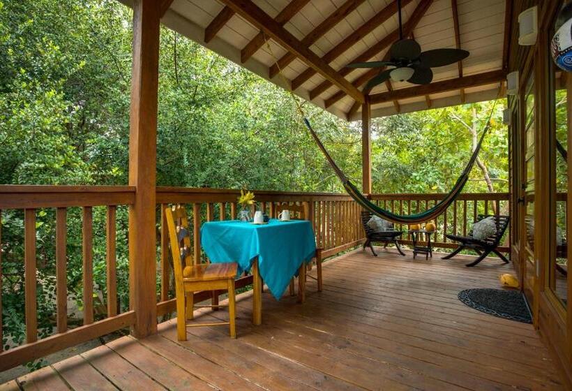 סטודיו סטנדרטי נוף לגינה, Mariposa Belize Beach Resort