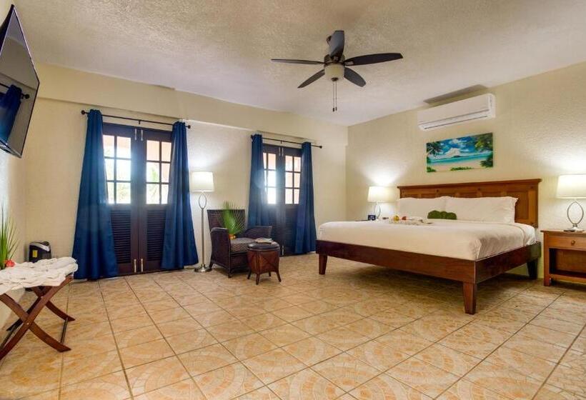 סטודיו סטנדרטי נוף לים, Mariposa Belize Beach Resort