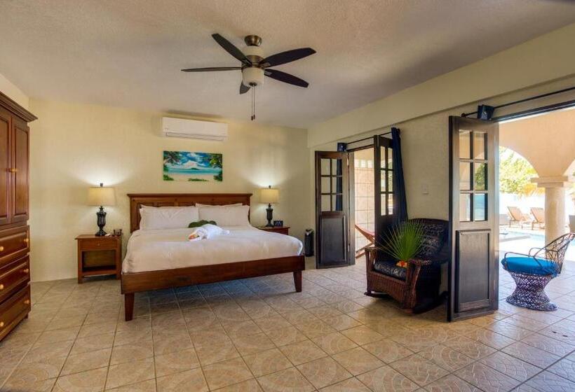 סטודיו סטנדרטי נוף לים, Mariposa Belize Beach Resort