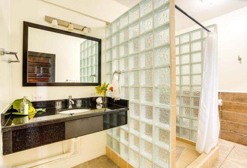 סטודיו סטנדרטי נוף לים, Mariposa Belize Beach Resort