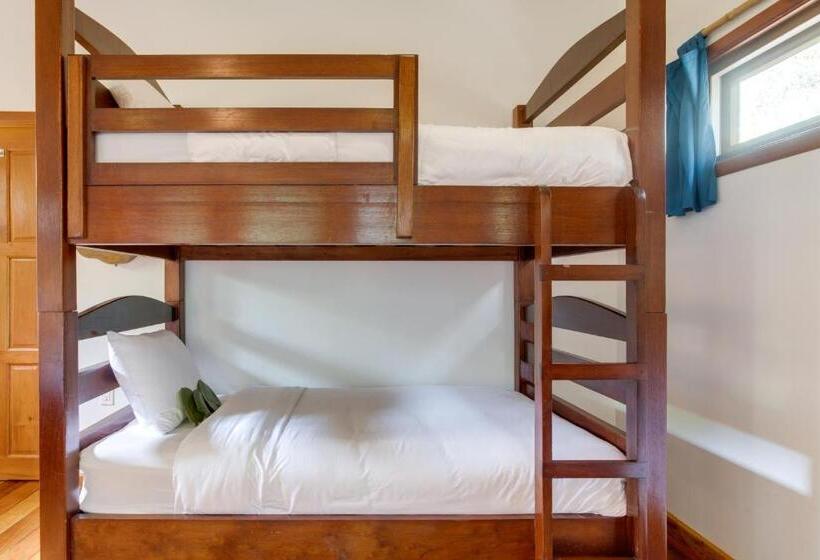 סטודיו סטנדרטי נוף לגינה, Mariposa Belize Beach Resort