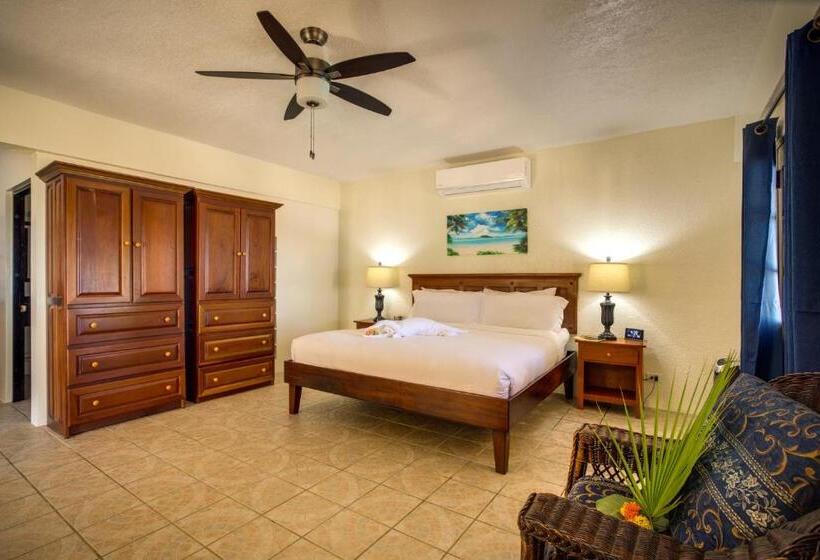 סטודיו סטנדרטי נוף לים, Mariposa Belize Beach Resort