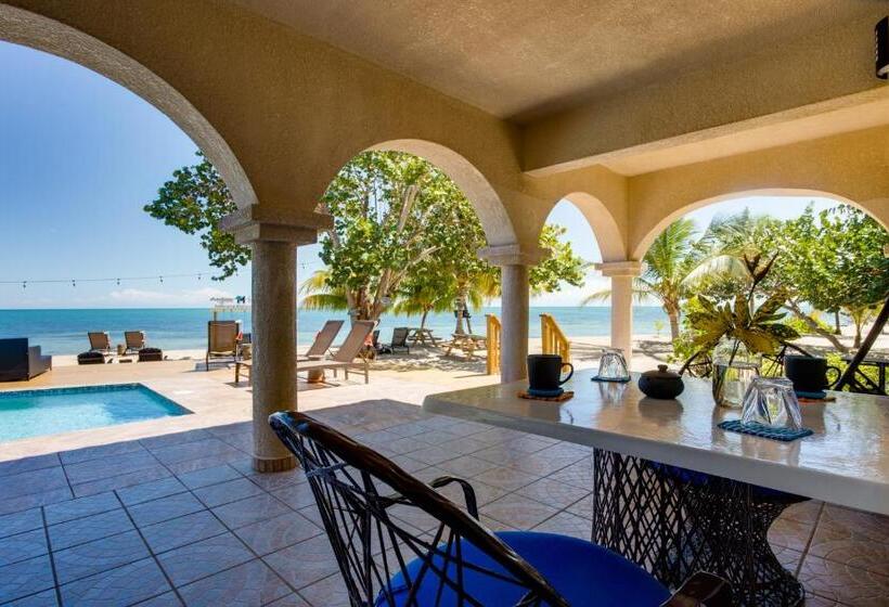 סטודיו סטנדרטי נוף לים, Mariposa Belize Beach Resort