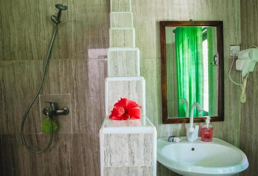 بنجلو ديلوكس, Moonshine Uroa Boutique