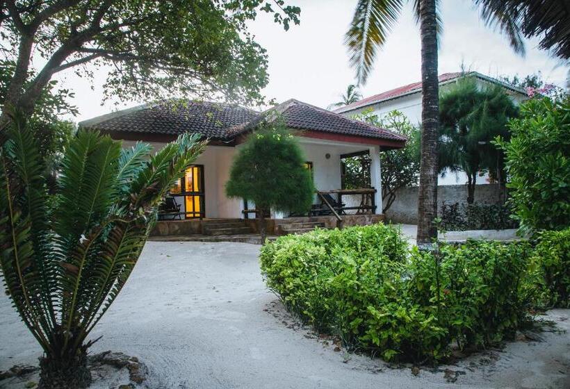 بنجلو ديلوكس, Moonshine Uroa Boutique