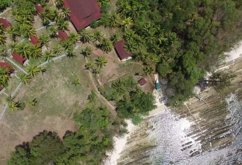 اتاق استاندارد با چشم‌انداز دریا, North Borneo Biostation Resort