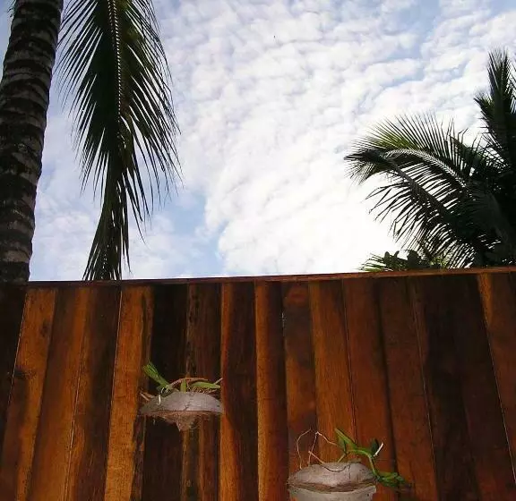 اتاق استاندارد, North Borneo Biostation Resort