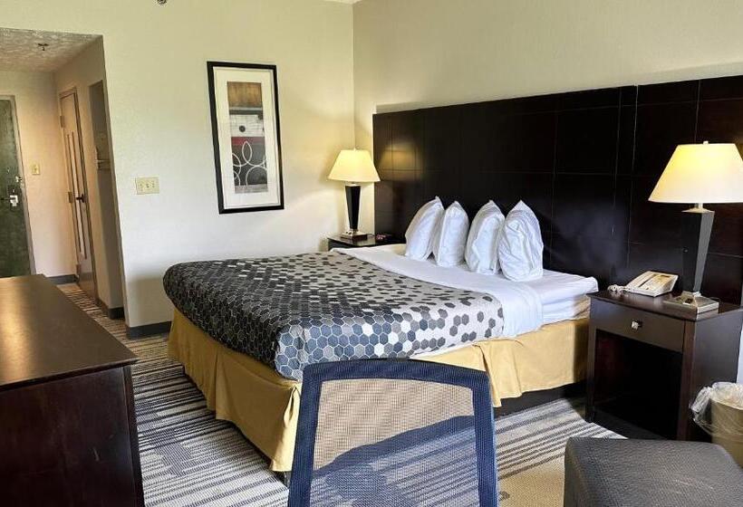 اتاق استاندارد با تخت بزرگ, Super Inn & Suites Philadelphia