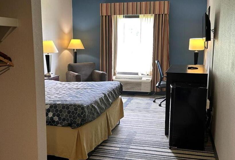 اتاق استاندارد با تخت بزرگ, Super Inn & Suites Philadelphia