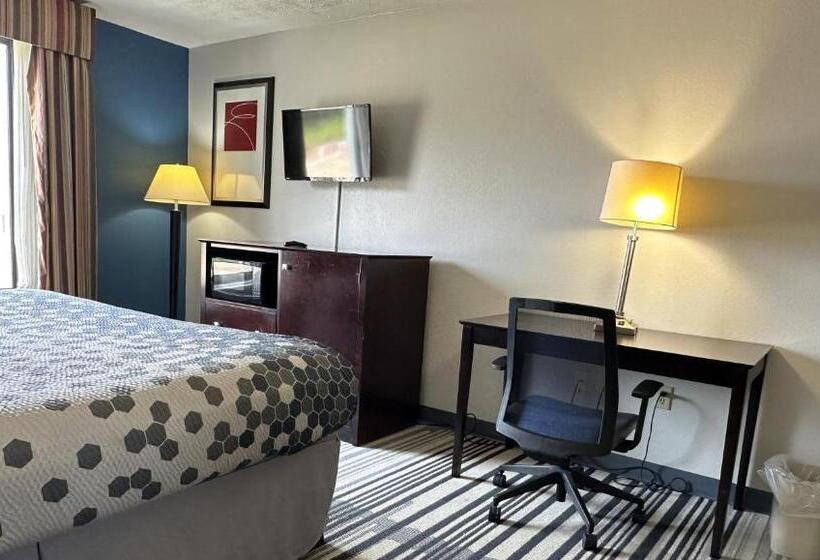 اتاق استاندارد با تخت بزرگ, Super Inn & Suites Philadelphia