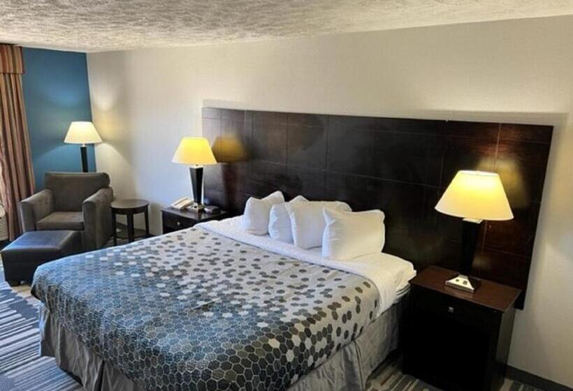 اتاق استاندارد با تخت بزرگ, Super Inn & Suites Philadelphia