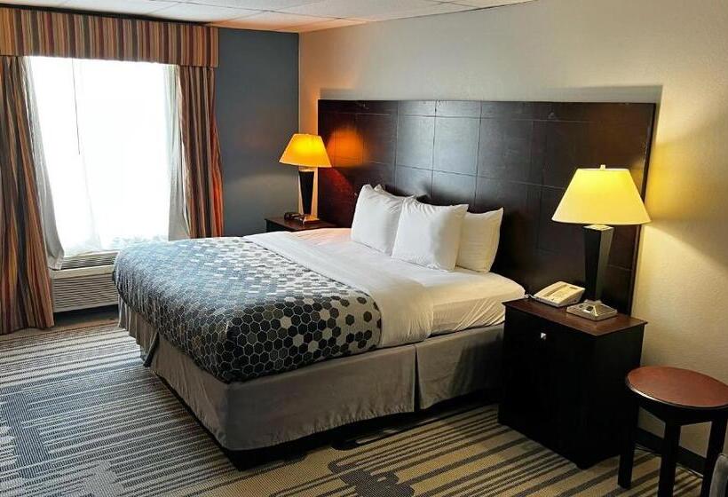 장애인을 위한 킹사이즈 침대 스탠다드 룸, Super Inn & Suites Philadelphia