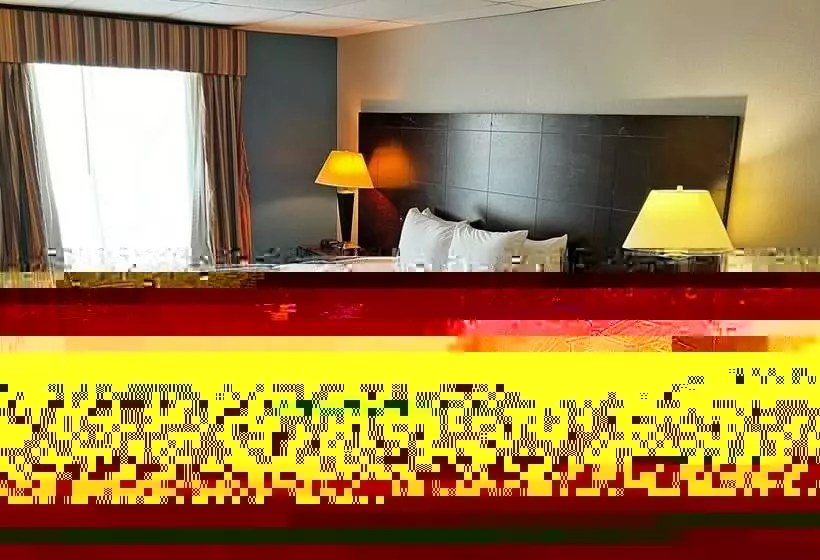 اتاق استاندارد, Super Inn & Suites Philadelphia