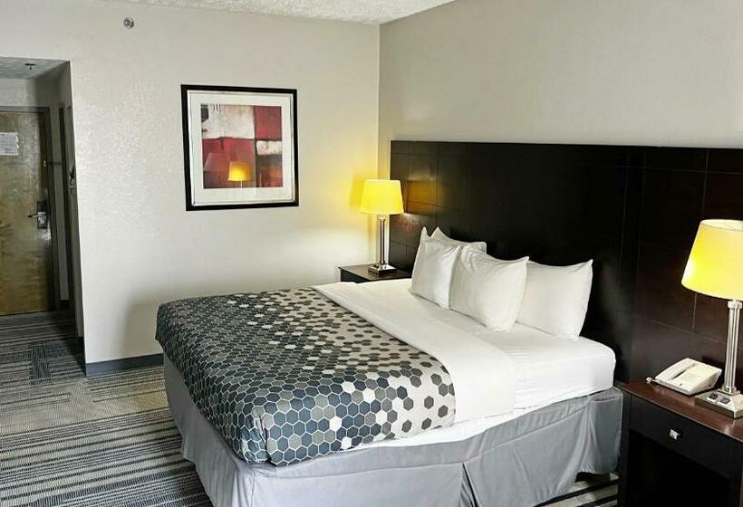 اتاق استاندارد با تخت بزرگ, Super Inn & Suites Philadelphia