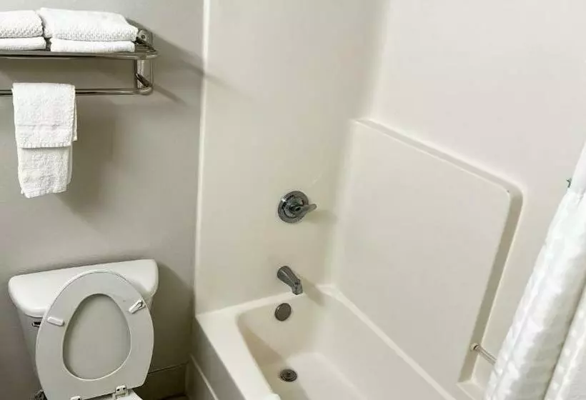 اتاق استاندارد, Super Inn & Suites Philadelphia