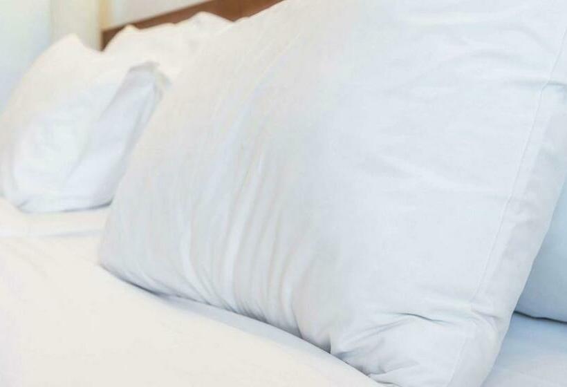 اتاق استاندارد با تخت بزرگ, Super Inn & Suites Philadelphia