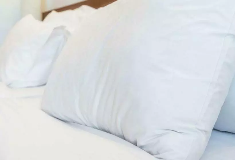 اتاق استاندارد با تخت بزرگ, Super Inn & Suites Philadelphia