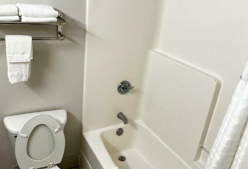 اتاق استاندارد با تخت بزرگ, Super Inn & Suites Philadelphia