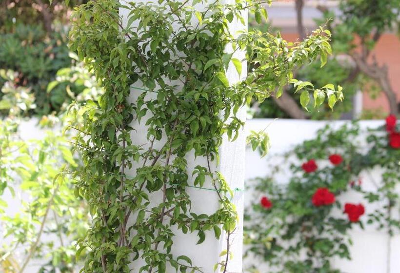 스탠다드 룸, Intorno Al Fico