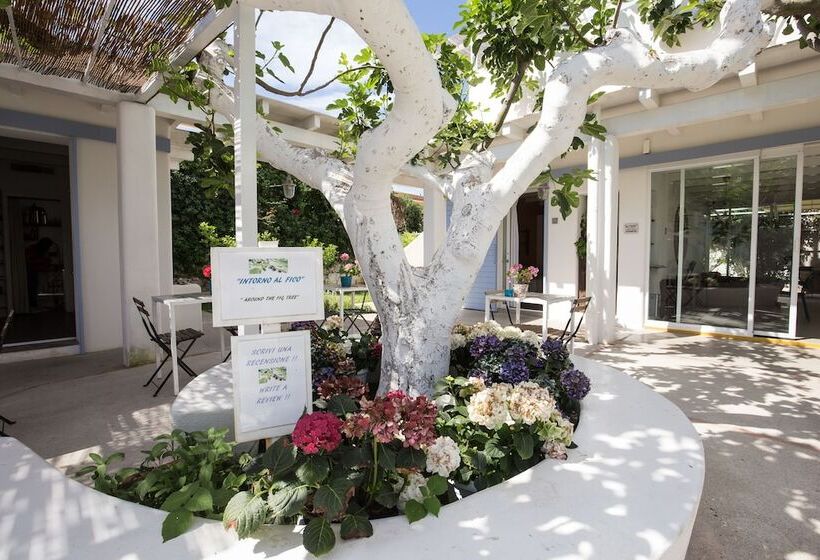 스탠다드 트리플 룸, Intorno Al Fico