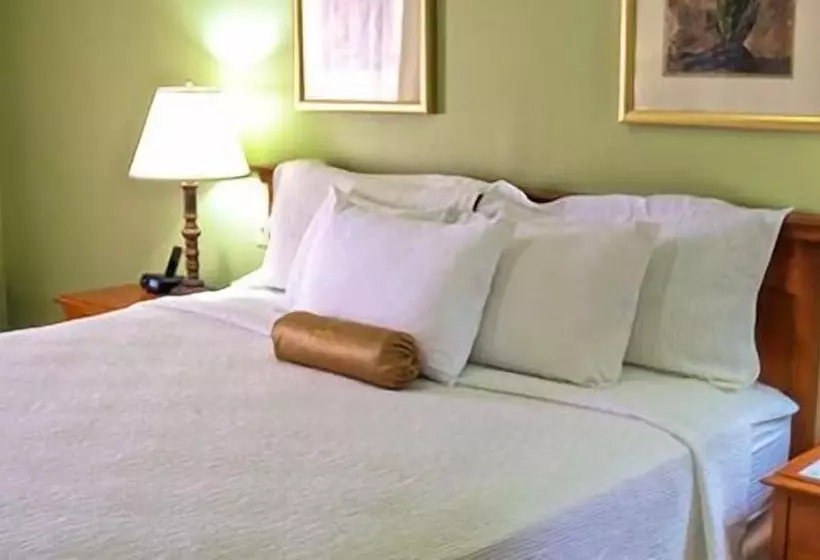 اتاق استاندارد, Regency Hotel Fairmile