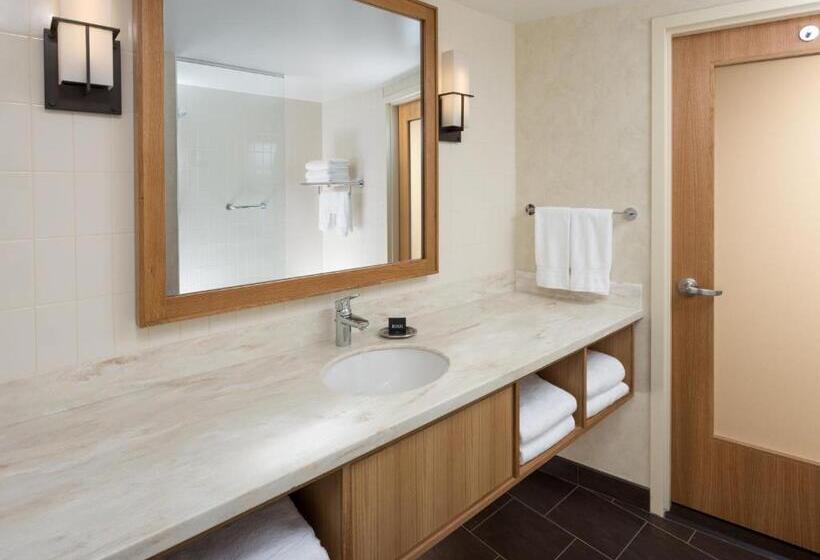 适合残疾人使用的标准间, The Inn At Swarthmore