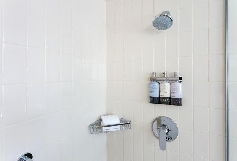 适合残疾人使用的标准间, The Inn At Swarthmore