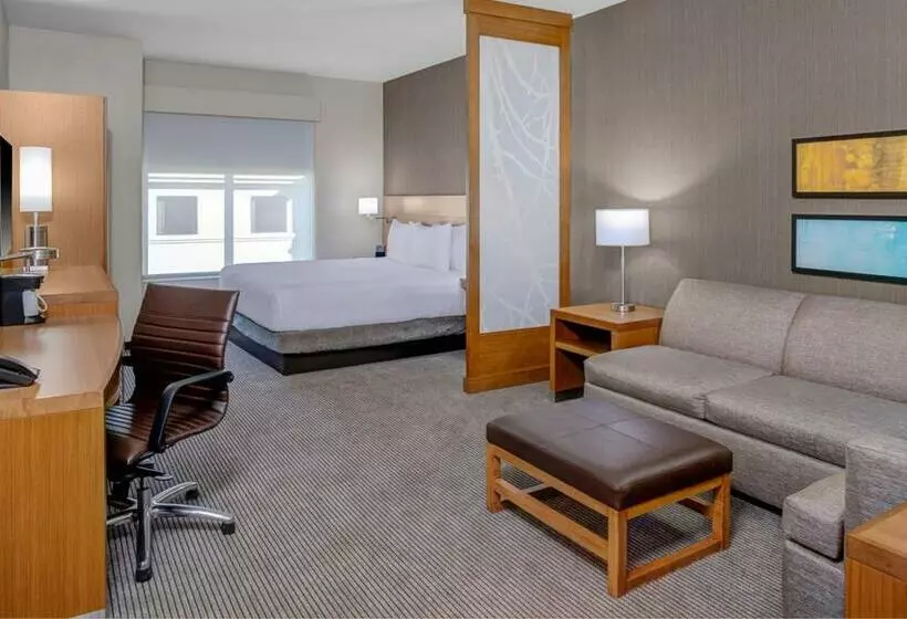 Standard-huone King-vuode, Hyatt Place Dallas/allen